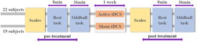 Transcranial Direct Current Stimulation Over the Left Dorsolateral Prefrontal Cortex Reduced Attention Bias Toward Negative Facial Expression: A Pilot Study in Healthy Subjects